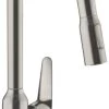 Hansgrohe Focus M42 - Miscelatore Da Lavello M4216-H220 Con Doccetta Estraibile, Simil Inox 71820800 2 Hansgrohe Focus M42 - Miscelatore Da Lavello M4216-H220 Con Doccetta Estraibile, Simil Inox 71820800 -Forniture Per Attrezzature Da Cucina 8a906d721416864be2be8686
